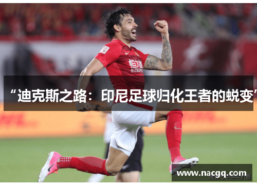 “迪克斯之路：印尼足球归化王者的蜕变”